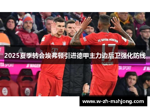 2025夏季转会埃弗顿引进德甲主力边后卫强化防线